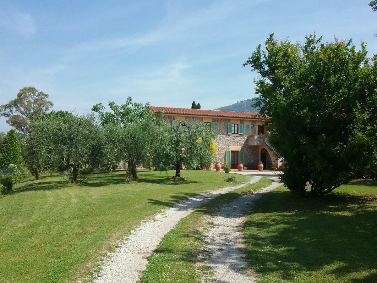 Апартаменты Locazione Turistica La Ginestra Monsummano Terme Экстерьер фото